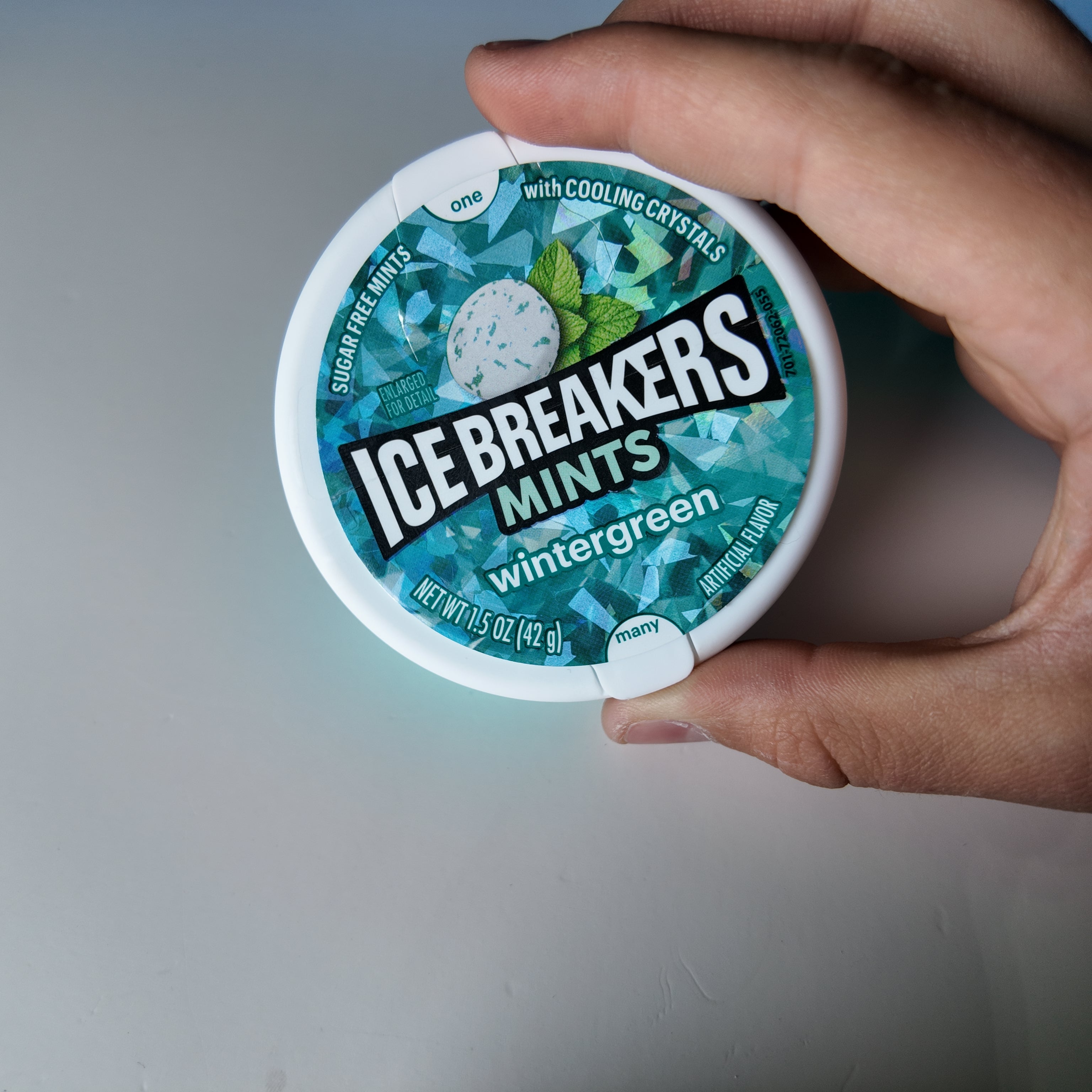 Biscuit Icebreaker CASE – Carrying Case