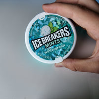 Biscuit Icebreaker CASE – Carrying Case